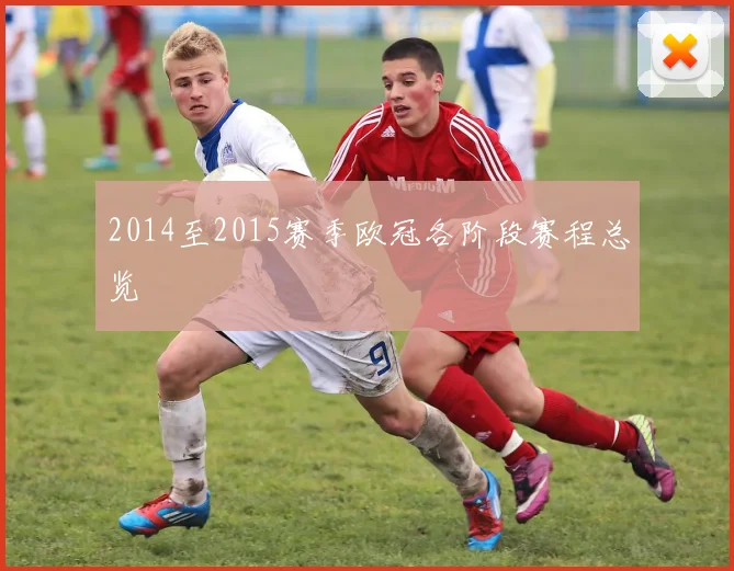 2014至2015赛季欧冠各阶段赛程总览