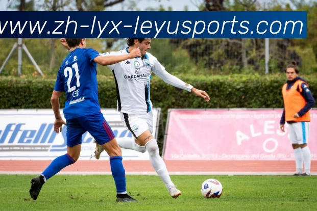 乐鱼体育发展历程