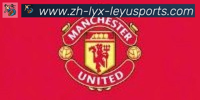 乐鱼体育登录入口合作伙伴